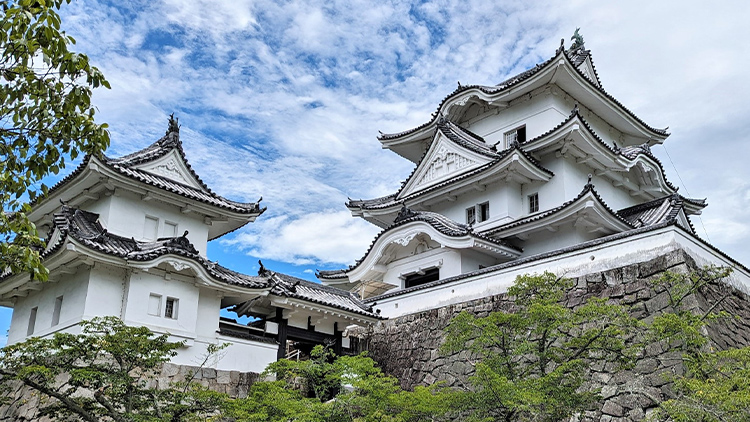 伊賀上野城の外観
